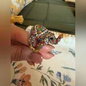 Colorful Elephant Ring